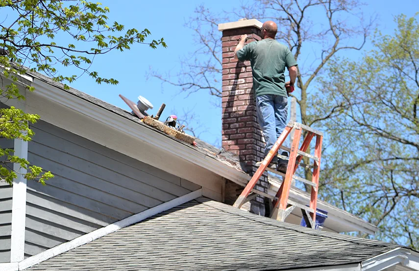 Chimney & Fireplace Inspections Services in North Valley Stream, NY