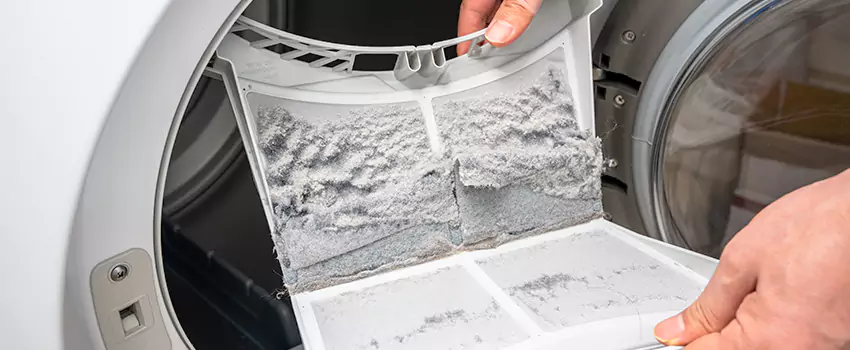 Best Dryer Lint Removal Company in North Valley Stream, New York